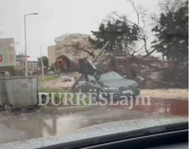 Pema zë poshtë makinën në lëvizje pranë Urës së Dajlanit (VIDEO)