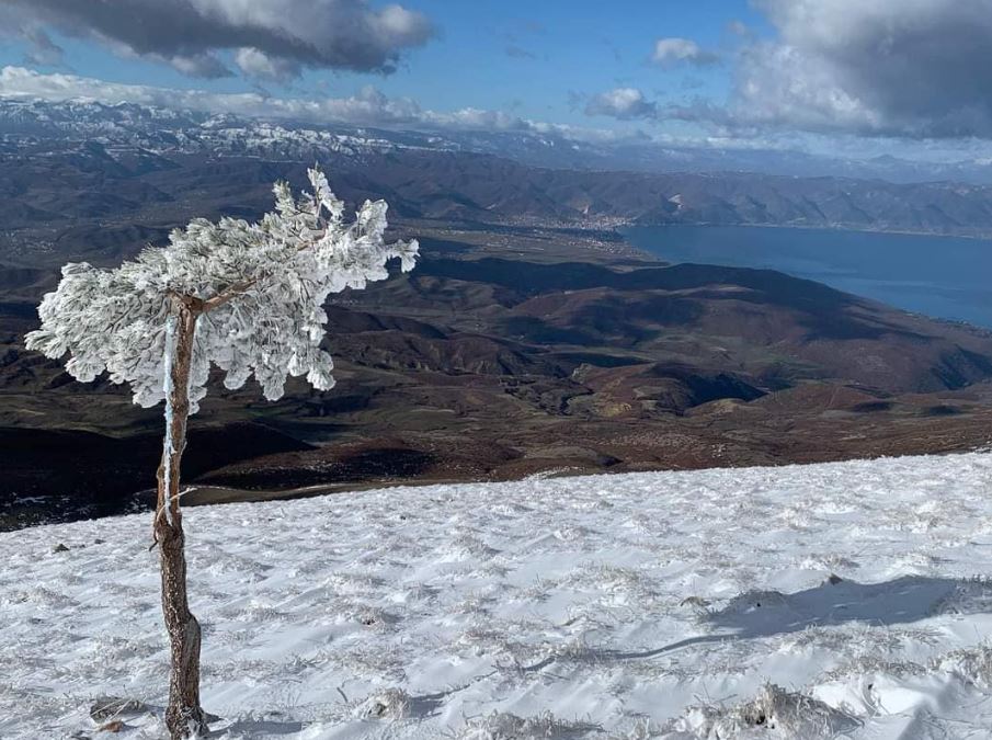 Për të apasionuarit pas natyrës dhe dëborës, Rama poston pamjet fantastike nga Mali i Thatë