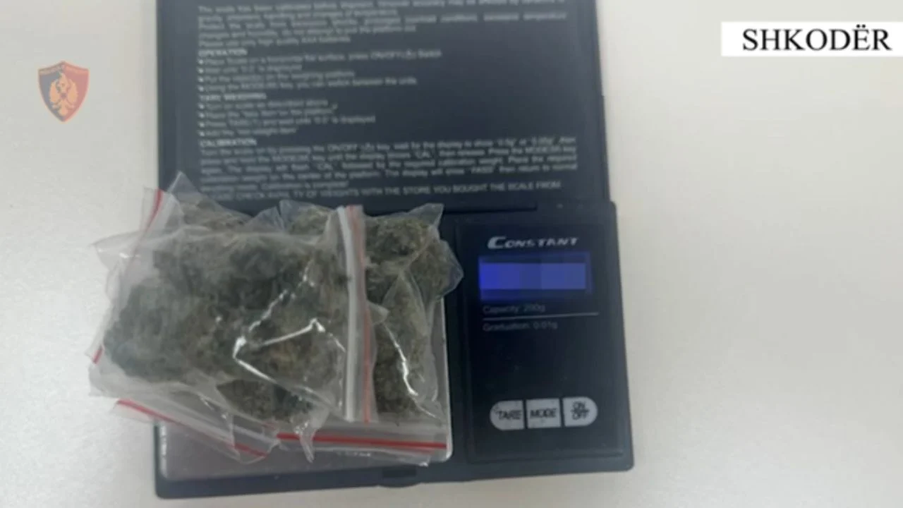 Shiste kanabis në zona të ndryshme të Shkodrës, arrestohet 22-vjeçari
