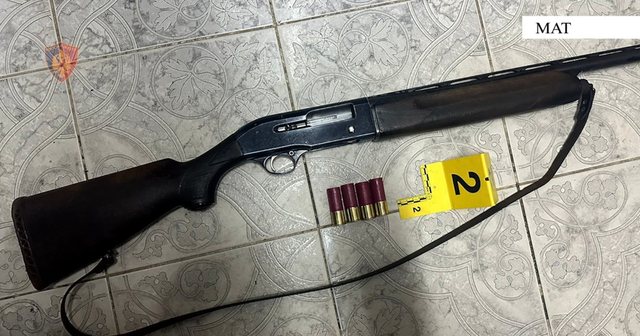 Lëvizte rrugëve të fshatit me armë gjahu, arrestohet 17-vjeçari në Mat