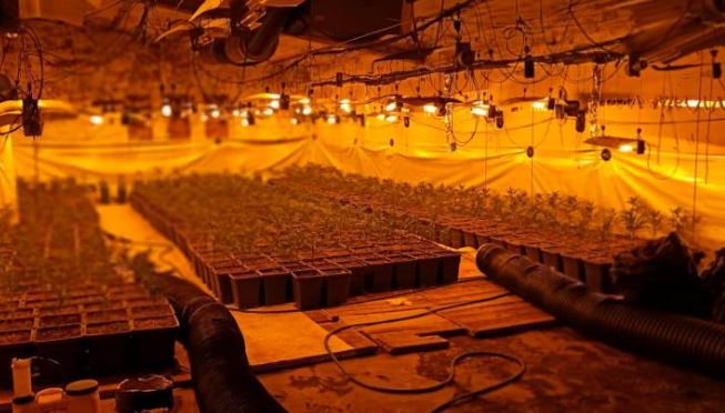 Morën me qira fermën e fqinjit dhe e kthyen në “shtëpi bari”, arrestohen dy shqiptarë në Spanjë