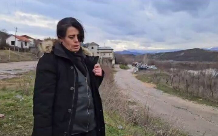 Denoncoi djalin e bashkëjetuesit për marrëdhënie intime me të bijën, flet nëna e 12-vjeçares: Si e zbulova rastin