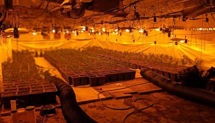 Morën fermën me qira dhe e kthyen në “shtëpi bari”, arrestohen dy shqiptarë në Spanjë