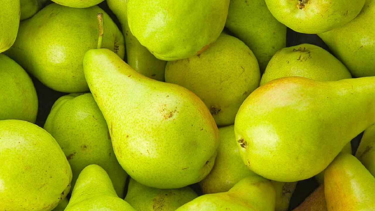 Çfarë i ndodh organizmit nëse hani një dardhë në ditë