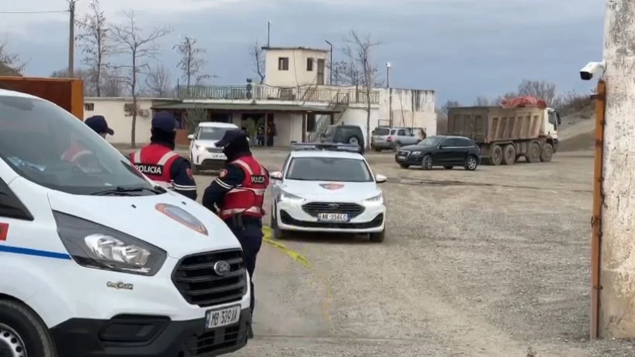 Vrasja në Kurbin/ Ekonomisti dhe pronari i firmës u qëlluan me automatik, objektivi ishte…