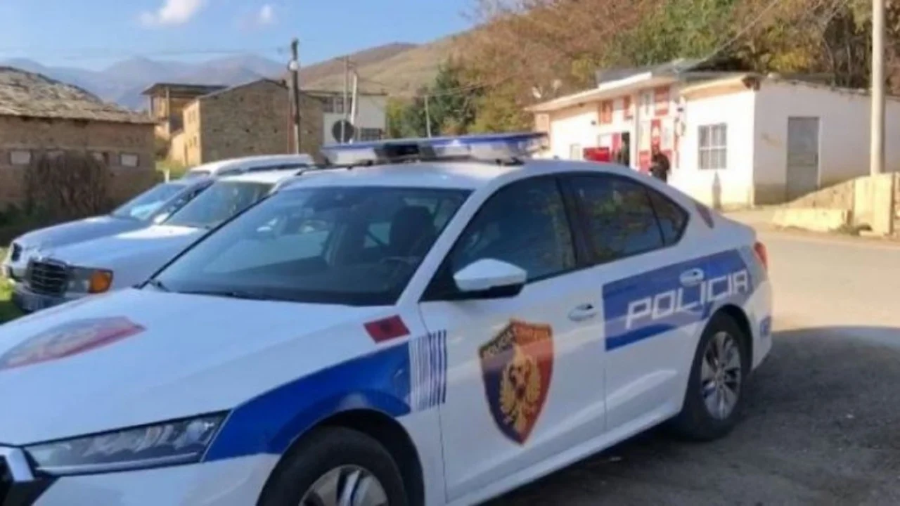 Vëllai plagos vëllanë me thikë në Pogradec! Njëri në spital, e tjetri në polici