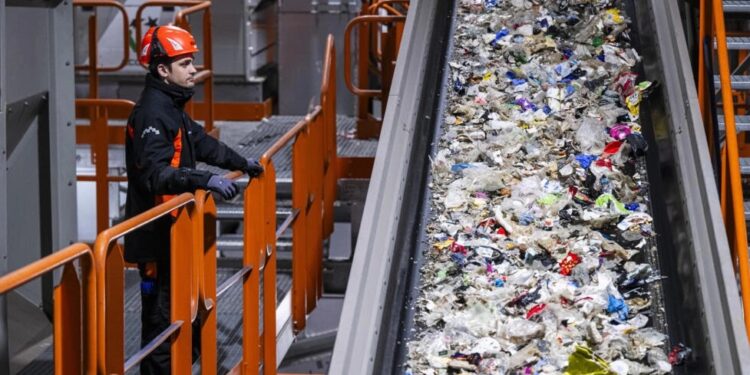 Suedia synon të nxisë riciklimin e plastikës me bimë gjigante