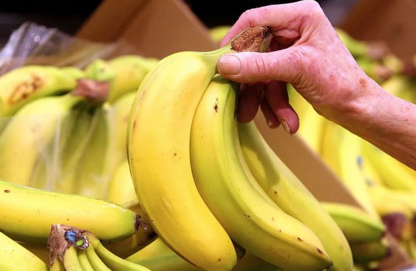 Çmimi i bananes do të shtrenjtohet, si do të ndikojë rritja e temperaturave