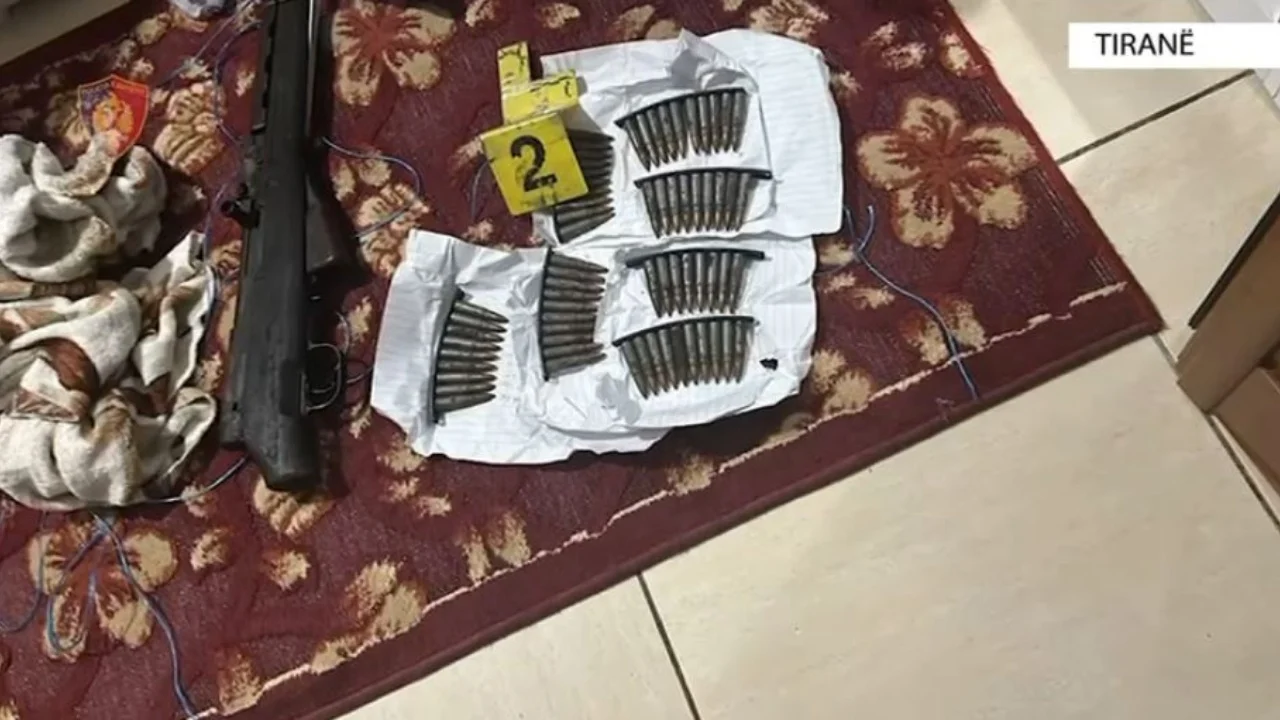 Armë zjarri dhe municion luftarak në banesë, bien në pranga babë e bir