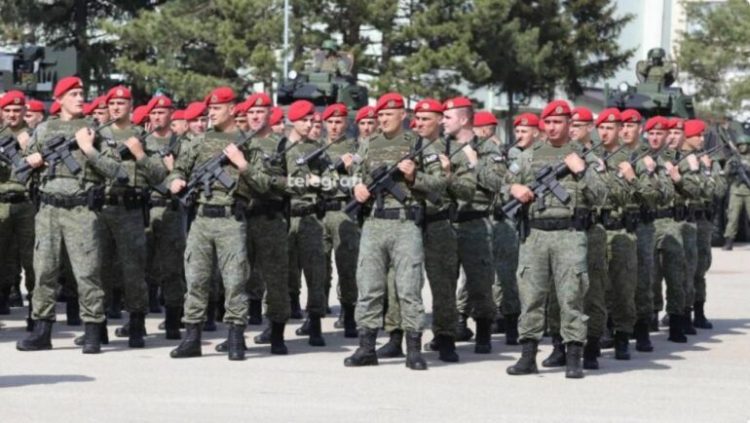 Video/ Ushtarët e Kosovës këndojnë këngën “Mora fjalë”