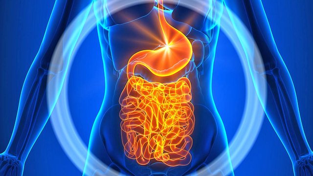 Ja pozicioni i duhur i gjumit për një tretje të mirë