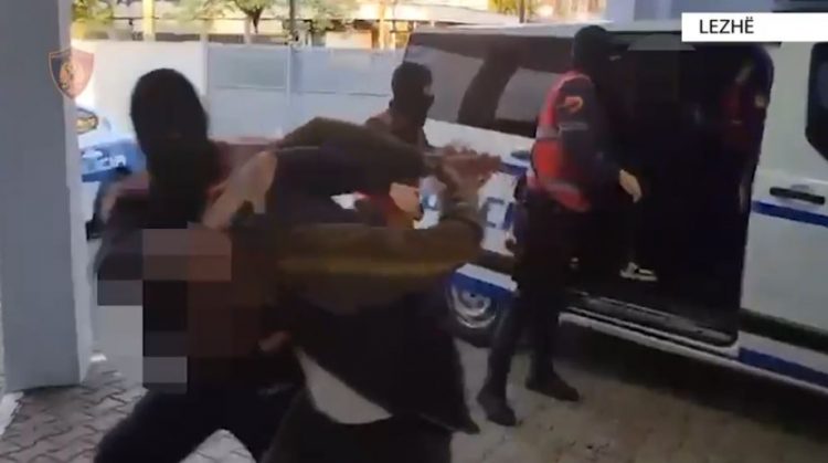 Sekuestrohen mbi 2 mijë fara kanabisi, arrestohen 5 persona