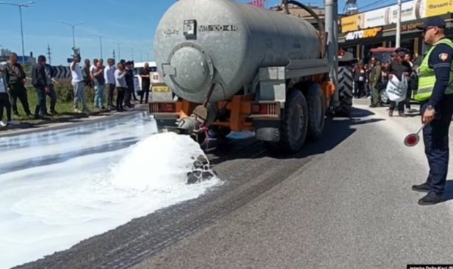 Çmimi i qumështit ulet me 5 lekë për litër/ Fermerët në Shqipëri në protestë, kërkojnë më shumë mbështetje