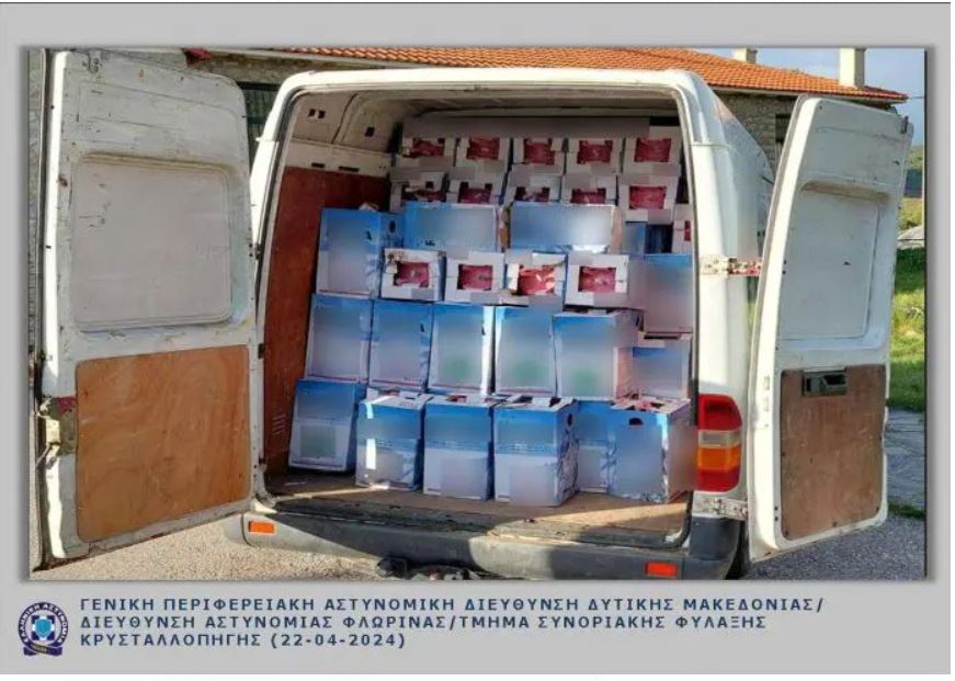 Kontrabandë freoni në kufi me Greqinë, arrestohet shqiptari