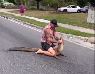 Florida/ Burri ndalon aligatorin 2.5 metra me duar të zhveshura dhe pa mjete të tjera