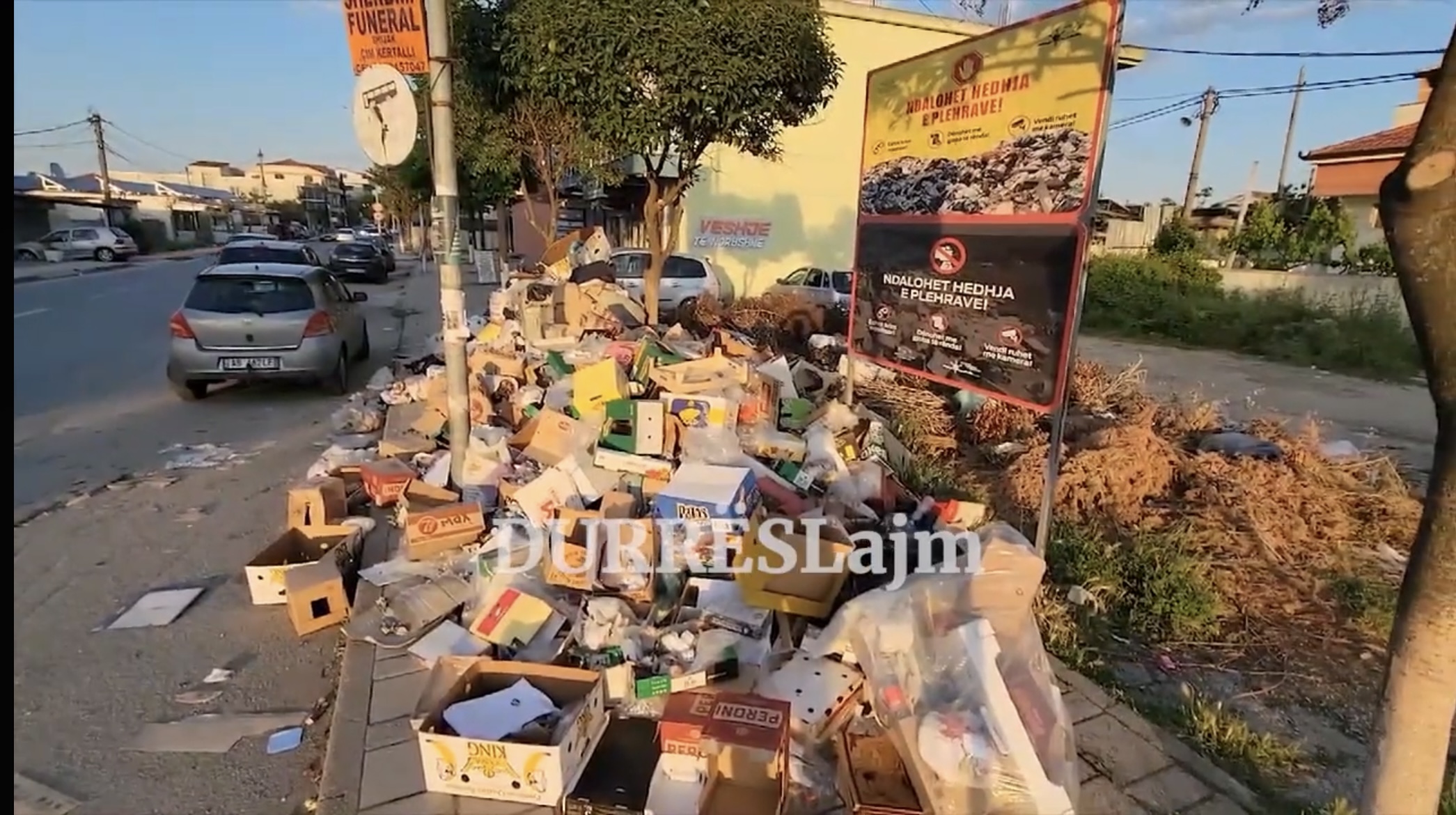 Shijaku qelbet nga plehrat, situatë alarmante (VIDEO)