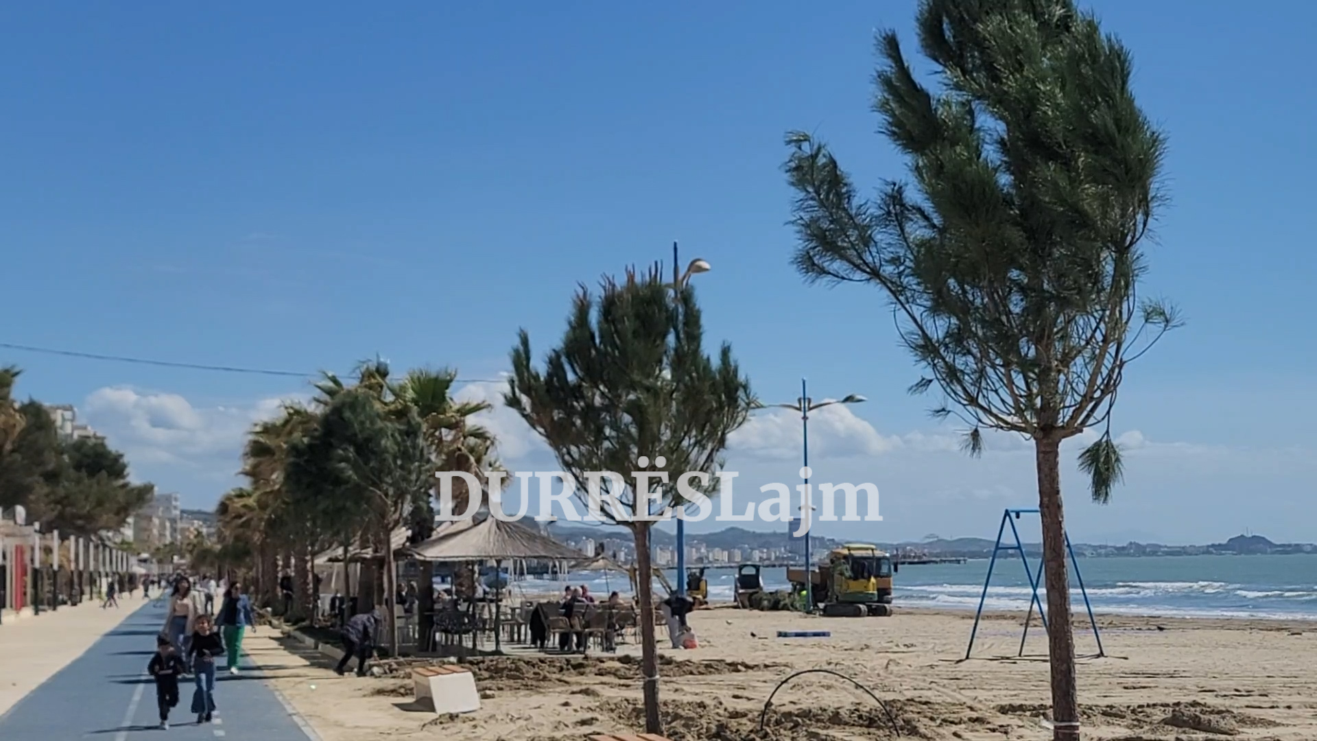 Mbillen 110 pisha të buta në shëtitoren e plazhit në Durrës (VIDEO)