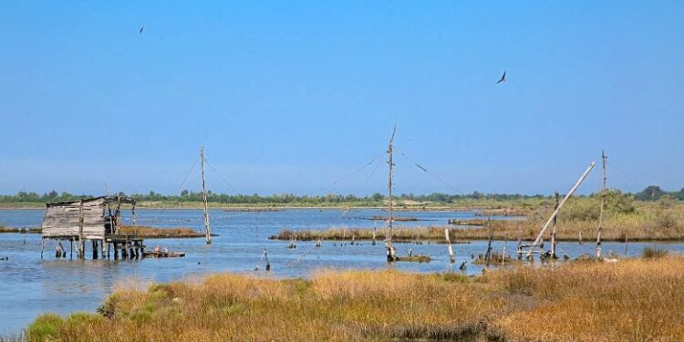 Aksion në IVMT në Kurbin, arrestohet drejtori, pezullohen inspektorët