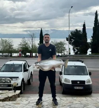 E rrallë/ Peshkatari kap një peshk Koran 13.1 kg në ujërat e liqenit të Pogradecit
