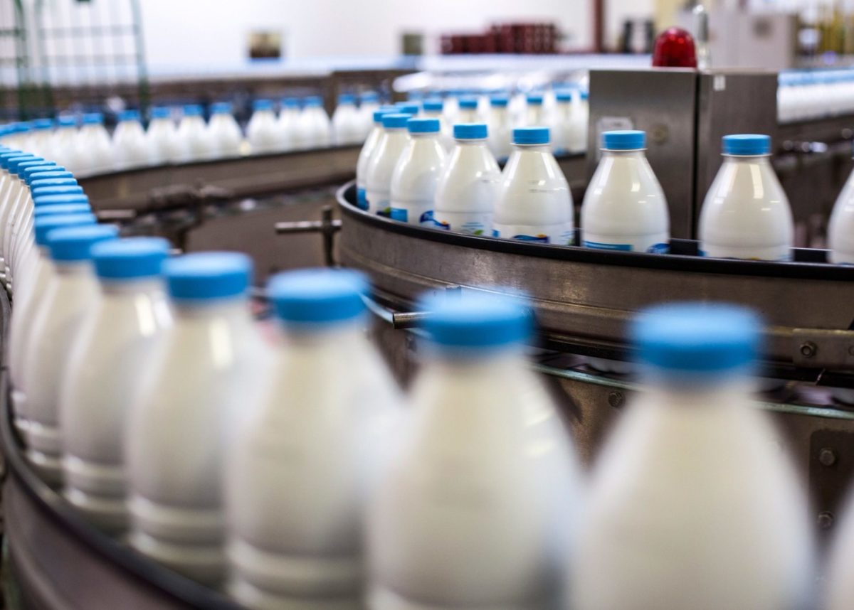 Siguria ushqimore, vetëm 5% e qumështit që prodhohet në vend testohet
