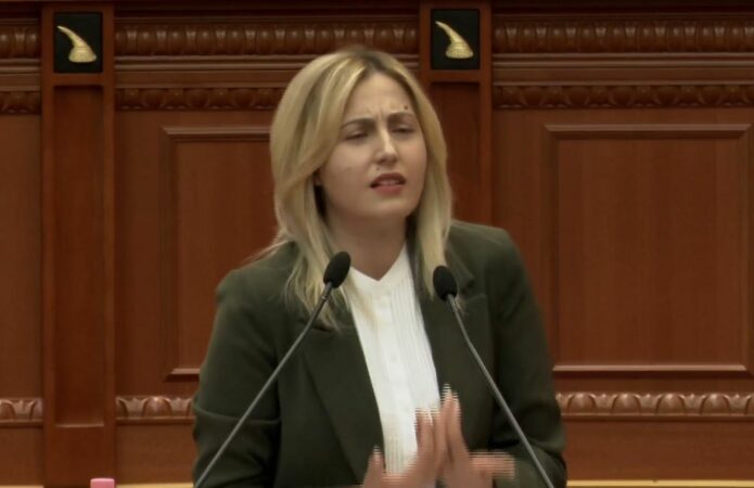 Ironia e Zhupës: Propagandë me projekte 4 D, vjedhjet me 5 D. Ligjin për investimet s&#8217;e keni bërë për Andin dhe Pandin, por për oligarkët!