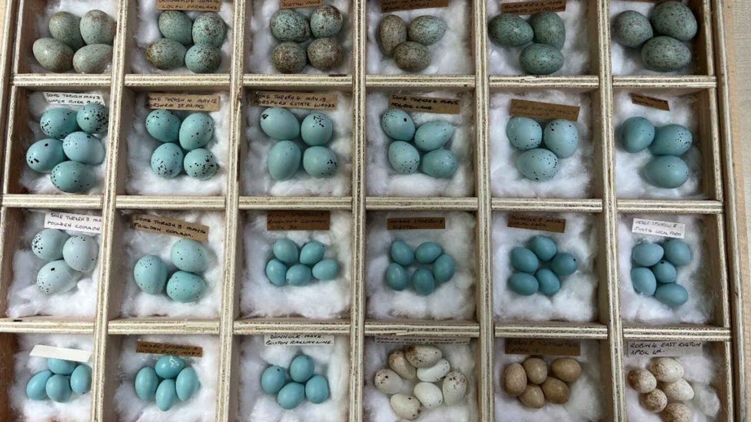 Hajduti serial i vezëve dënohet për herë të tretë, në banesë iu gjetën mijëra (FOTO)