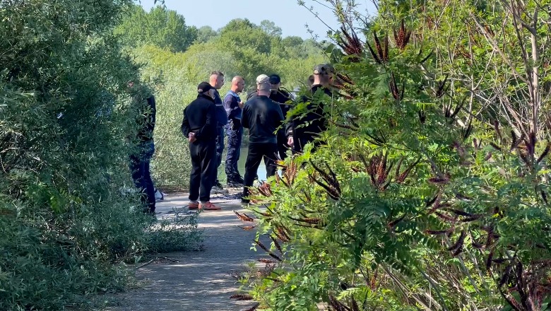 Policia del me deklaratë: 39-vjeçari çoi drejt vetëvrasjes bashkëshorten dhe 3 fëmijët