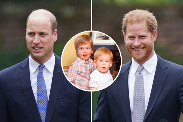 Çfarë ndodhi? Princi William ndalon Harryn të kthehet në familjen mbretërore