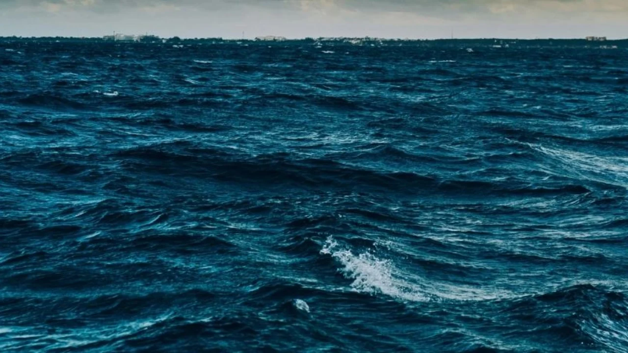 Detaje nga mbytja e 7-vjeçarit shqiptar, nëna e tij po merrej me foshnjën e porsalindur kur…