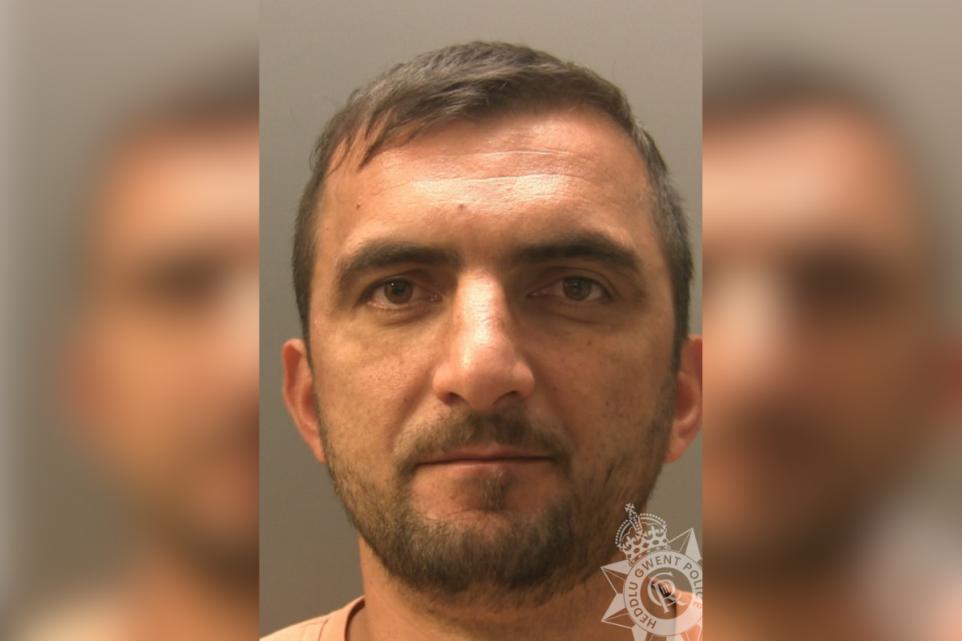 U kap duke punuar si kopshtar i bimëve narkotike me vlerë 58 mijë paund, i riu shqiptar dënohet me 1 vit burg