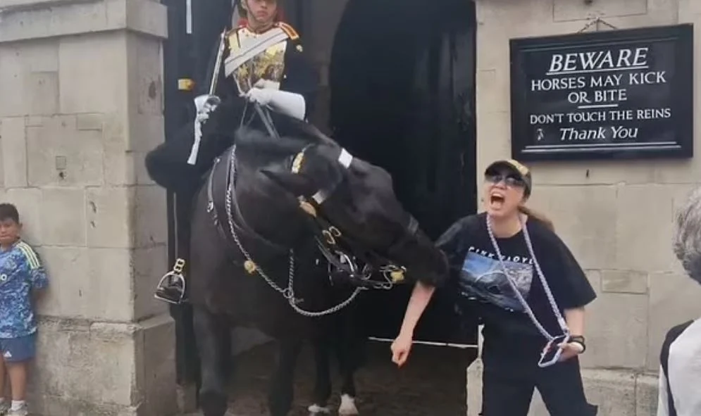 Turistja i afrohet për të bërë foto, kali i Rojës Mbretërore në Londër e kafshon keq (VIDEO)