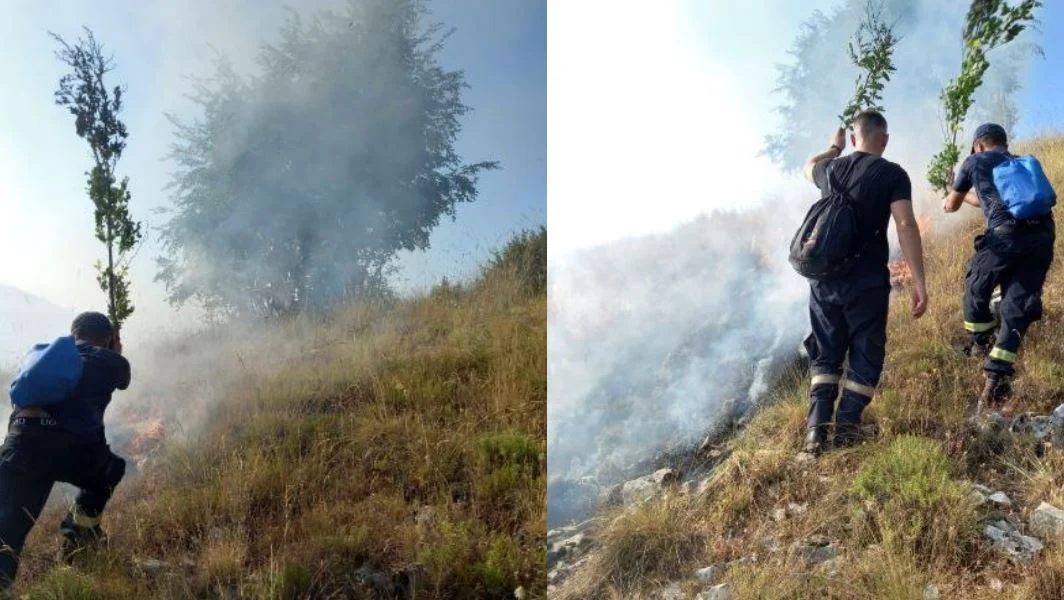 Zjarri në Gjirokastër, 36 zjarrfikës dhe 50 forca të ushtrisë në terren, si paraqitet situata