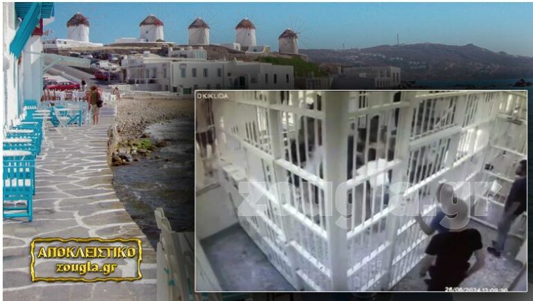 Vrasja e Alfons Doçit në burgun grek/ Publikohen pamjet, momenti kur dy të burgosur i afrohen dhe sulmojnë me thikë 35-vjeçarin