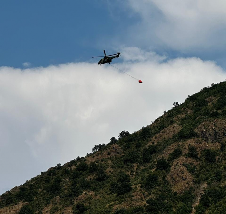 Zjarr masiv në pyjet e Matit, mobilizohet policia e forcat zjarrfikëse