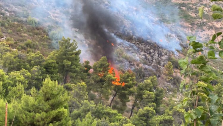 Situata nga zjarret në vend/ Në 24 orë u raportuan 20 vatra zjarri, 7 ende aktive