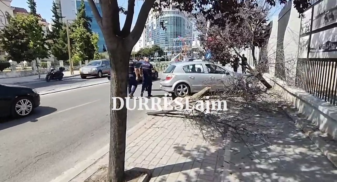 Aksident në Durrës, makina “merr përpara” shtyllën dhe pemën dekorative (VIDEO)