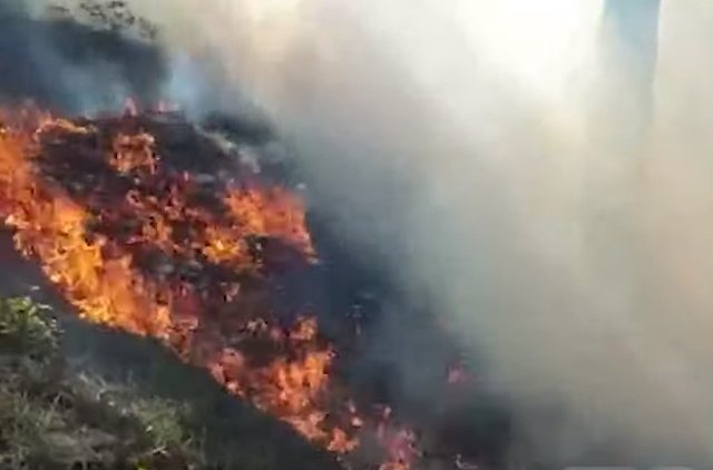 Temperaturat ekstreme, zjarri përfshinë Golemin, flakët po përhapen me shpejtësi