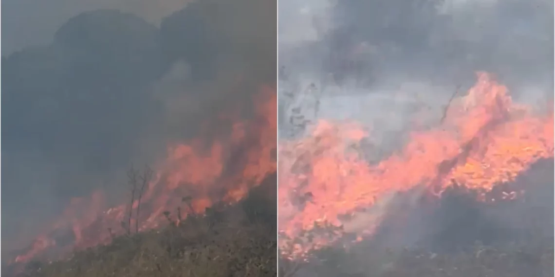 Zjarr i qëllimshëm në Gjirokastër, flakët rrezikojnë banesat