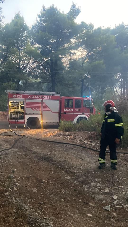 Zjarret në Lezhë jashtë kontrollit, zjarrfikëset e Durrësit nisen për ndihmë