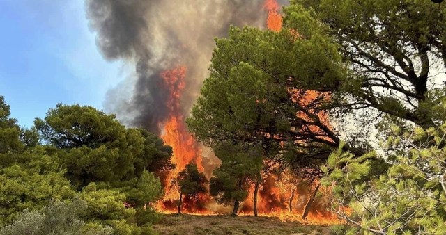 Vatra të reja zjarri në Greqi, kërkohet të evakuohen banorët