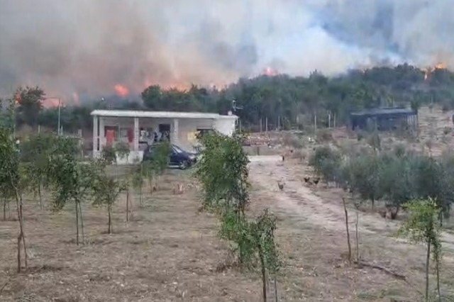 ”Shqipëria” në flakë, aktivizohet një vatër zjarri në Tepelenë, rrezikohen banesa