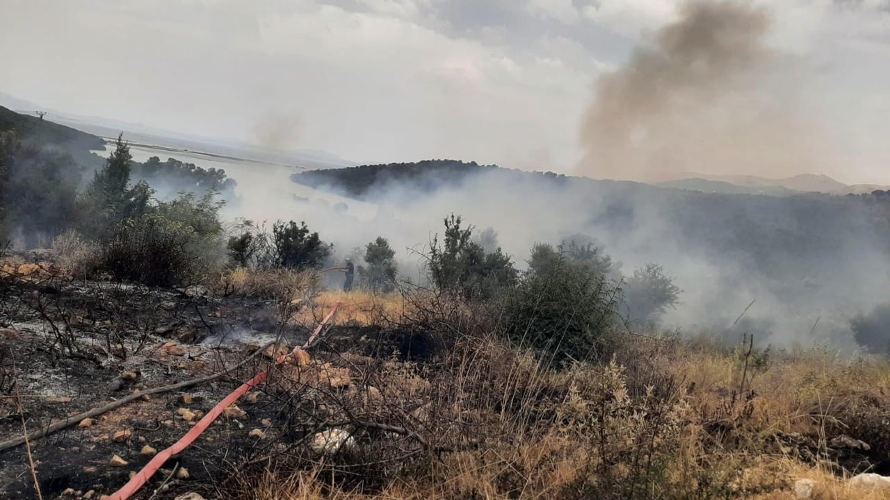 Zjarr masiv mes Ksamilit dhe Butrintit, digjen rreth 1 hektarë me ullishte