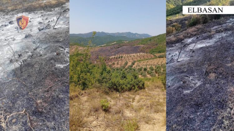 Zjarret/ Policia identifikon dy autorë, një i arrestuar dhe një i proceduar penalisht 