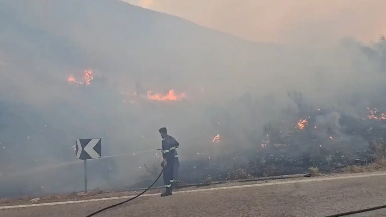 Shpati i Malit të Gjerë nën flakë, nis puna për shuarjen e zjarreve në orët e para të mëngjesit