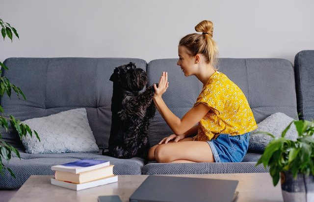 Si duhet të flisni me qenin tuaj në mënyrë që ai t’ju kuptojë