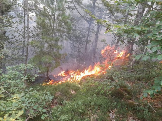 Krujë, zjarri në Krastë dyshohet i qëllimshëm, digjen mbi 70 hektarë pyje