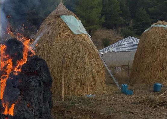 Merr flakë baza ushqimore për bagëtitë, dyshohet zjarrvënie e qëllimshme