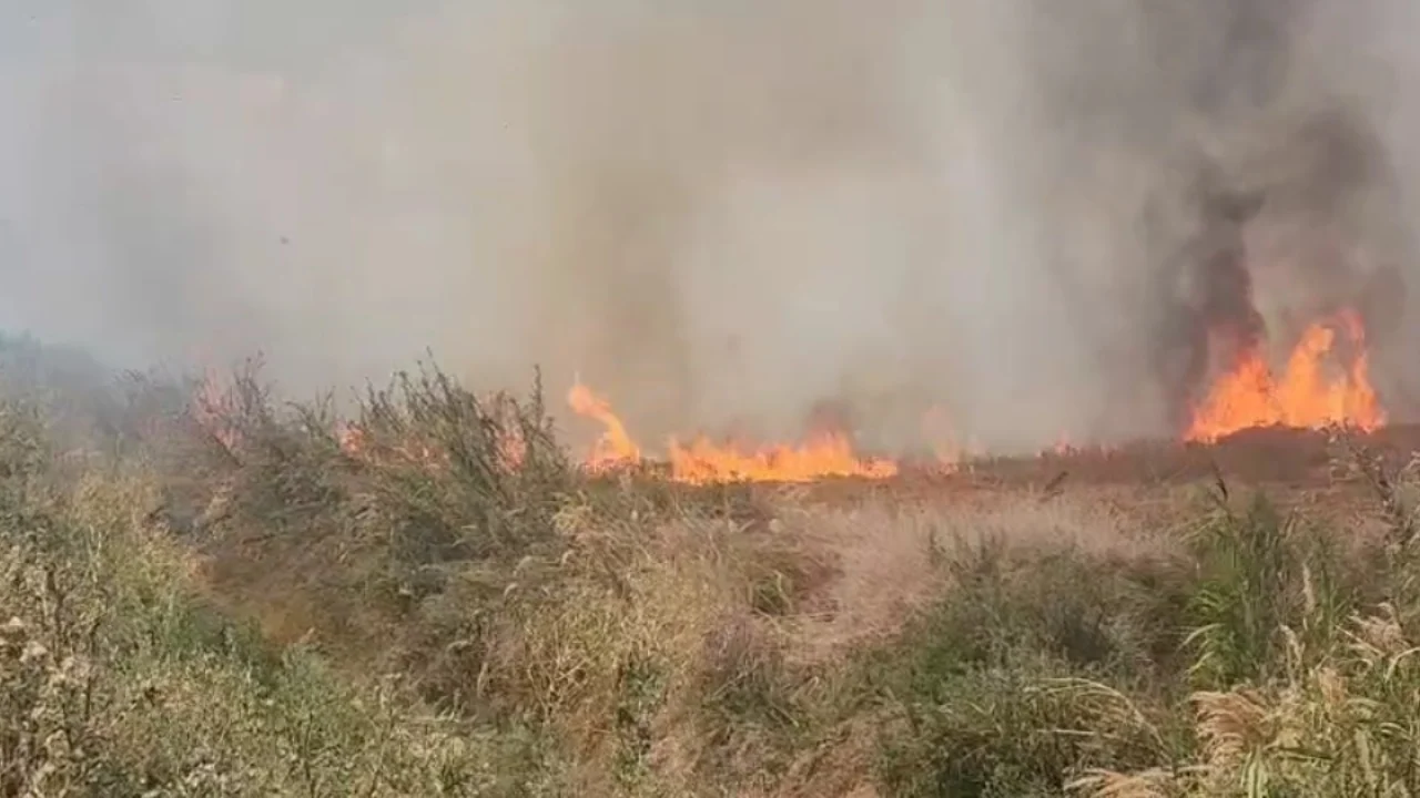 Zjarr në Vreshtas të Maliqit, zjarrfikësja drejt vendit të ngjarjes