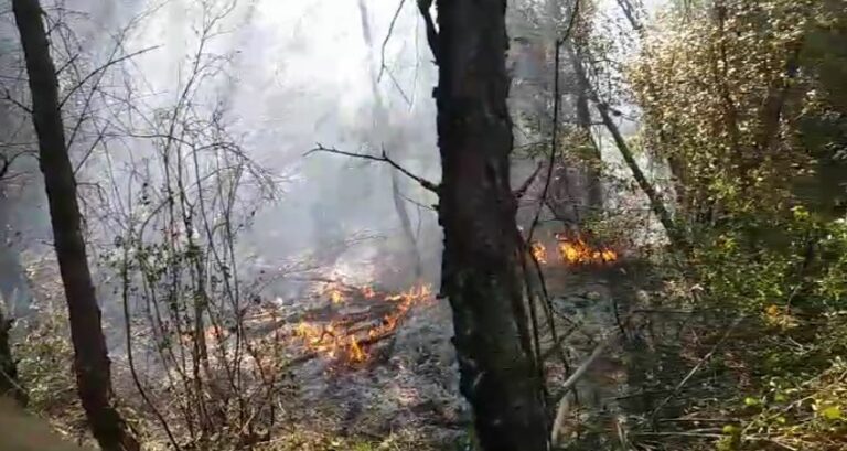 Aktivizohet sërish zjarri në lagjen Bojë në Krujë