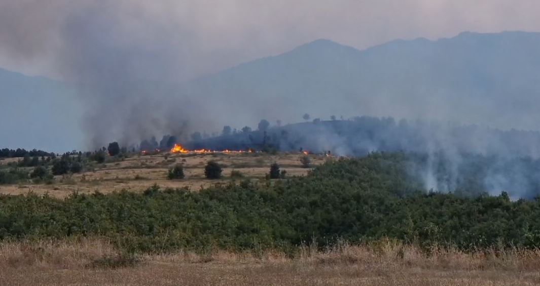 Zjarr masiv në afërsi të Burrelit, nis ndërhyrja për vënien nën kontroll të flakëve